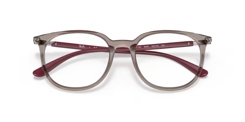 Ray-Ban - The Lens Vault
